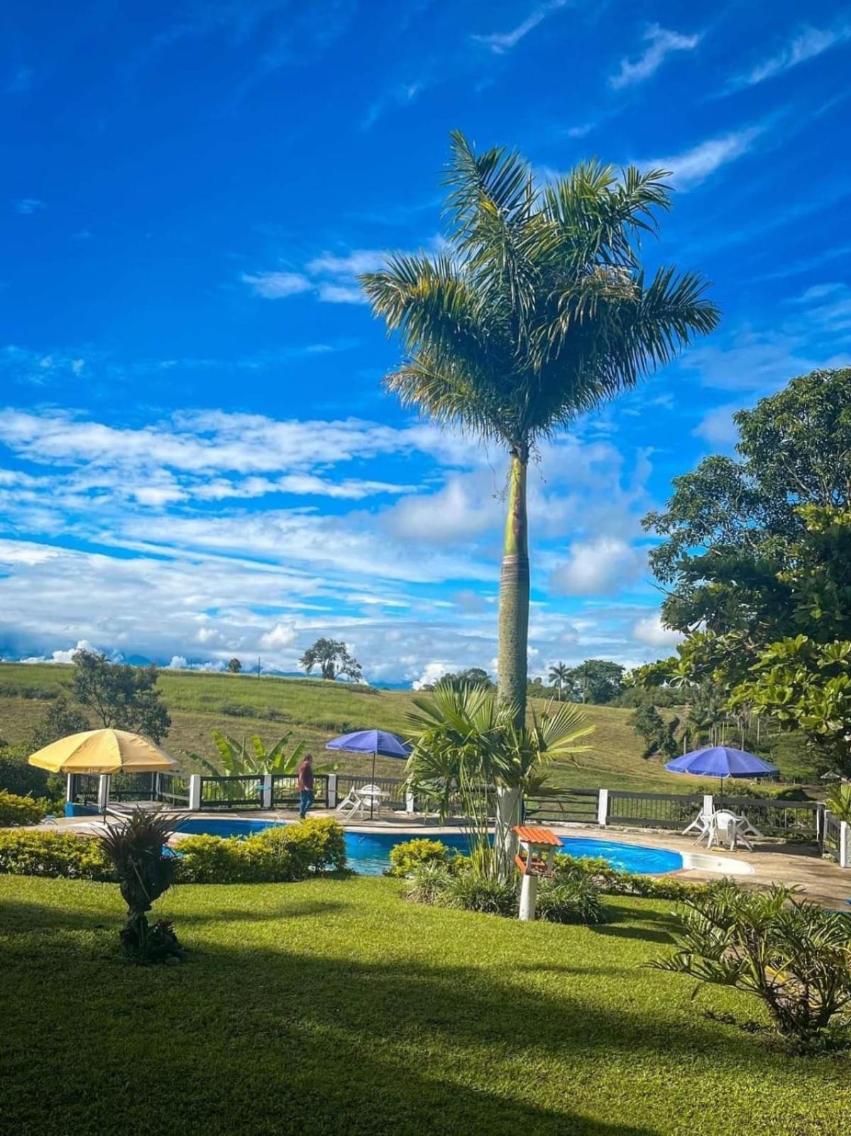 Finca Hotel Palmas Frente A Panaca Quimbaya Dış mekan fotoğraf